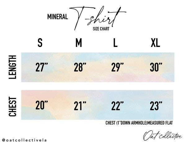 Free Bird MIneral Graphic Tee lo