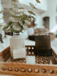 Twin C Wax Melts